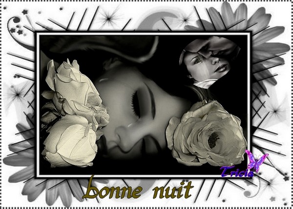 Image du Blog pickooney.centerblog.net